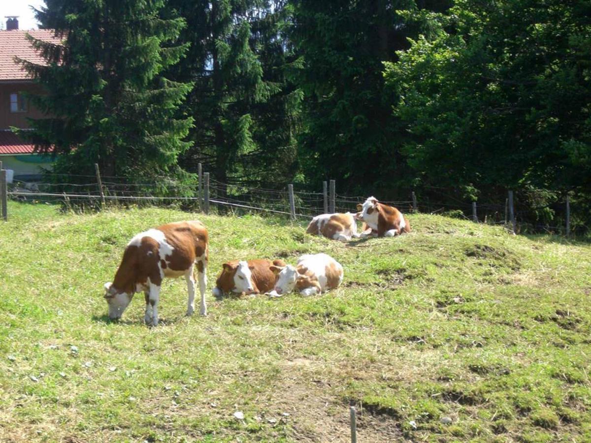 Ferienwohnung Berghof Wallgau Zewnętrze zdjęcie